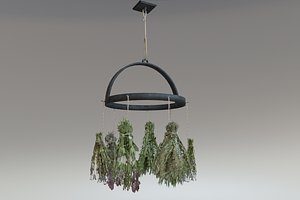 3D Rustic hanging dried herbs and flowers