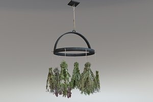Rustic hanging dried herbs and flowers