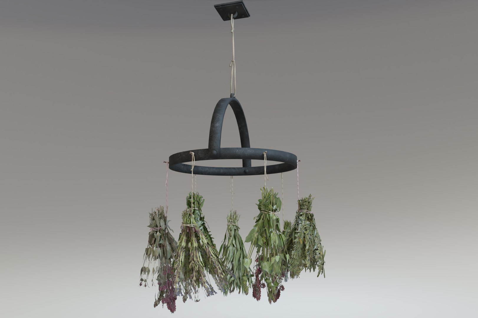 3D Rustic hanging dried herbs and flowers https://p.turbosquid.com/ts-thumb/ZI/hLmHCi/rN/render1/png/1636652474/1920x1080/fit_q87/97a07eee0058e650de47a957887dacb95d3ad93c/render1.jpg