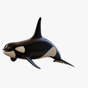 Orca Killer Whale - Rigged Animated PBR