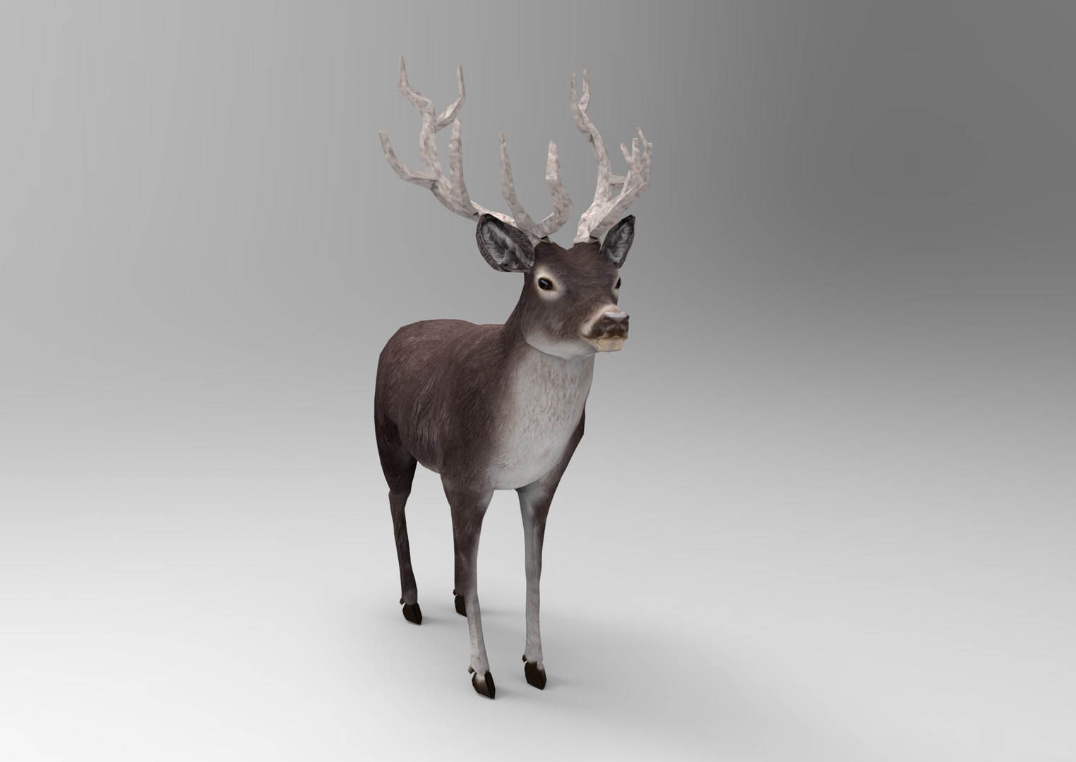 deer : ready obj https://p.turbosquid.com/ts-thumb/ZI/paWcfp/BaY5VTwx/untitled.717/jpg/1476415625/1920x1080/fit_q87/0de8bebfb25a5be2bc2386d7be91cb0fe3d8ca98/untitled.717.jpg