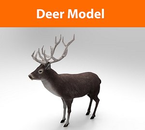 deer : ready obj