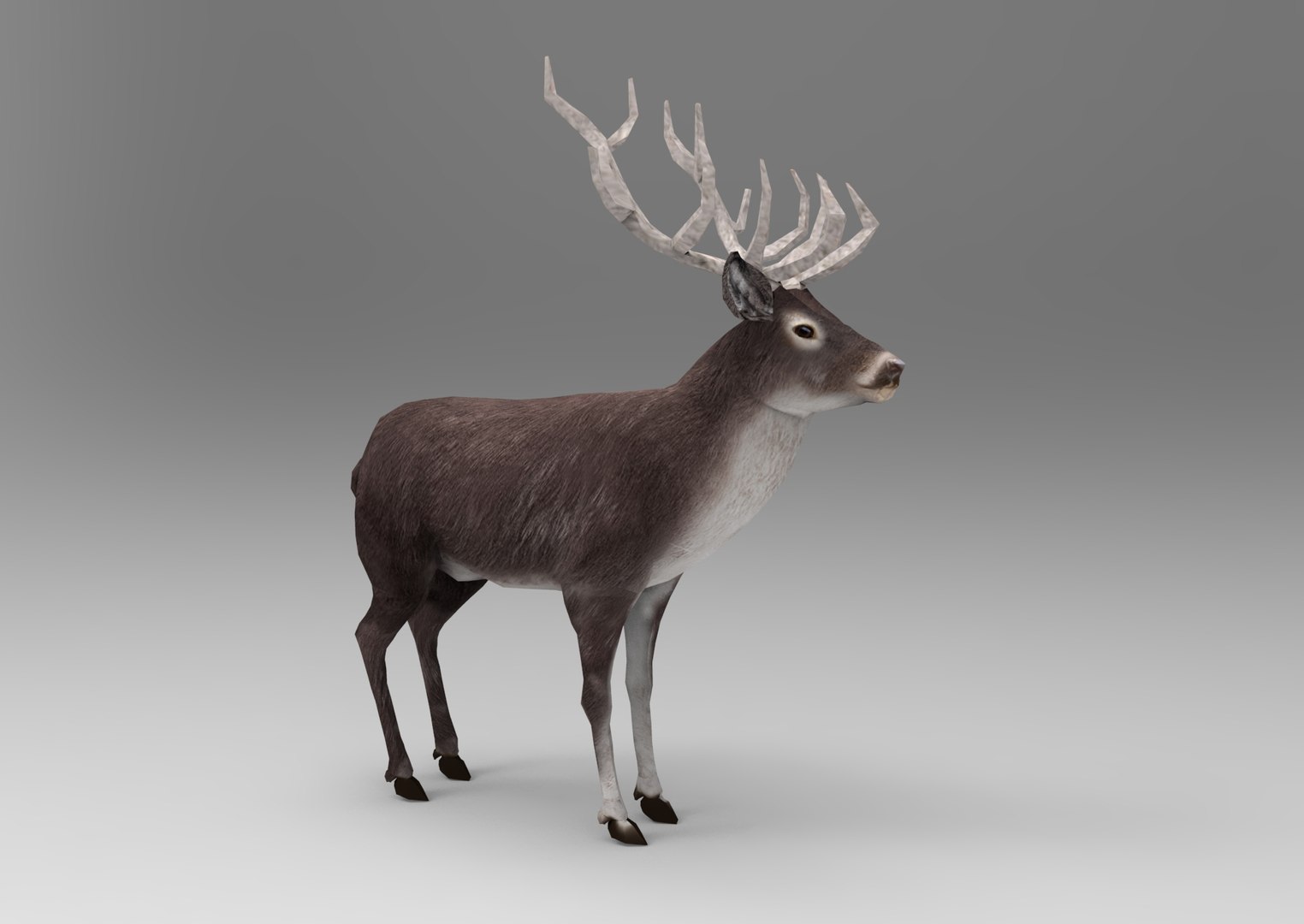 deer : ready obj https://p.turbosquid.com/ts-thumb/ZI/paWcfp/Vr0TxHCr/untitled.716/jpg/1476415625/1920x1080/fit_q87/06171aeb281814e22ba0b79224968cd5a16c7860/untitled.716.jpg