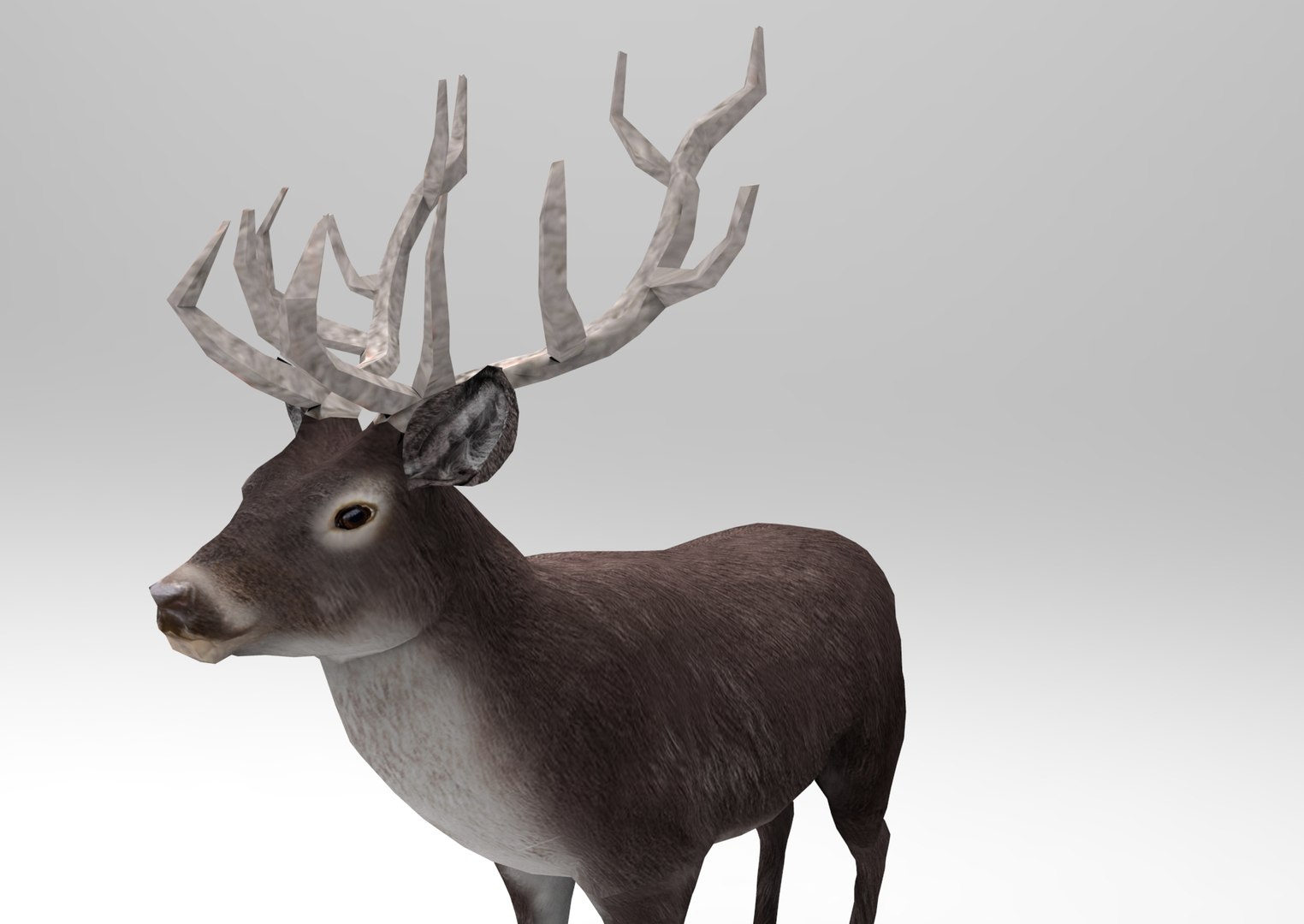 deer : ready obj https://p.turbosquid.com/ts-thumb/ZI/paWcfp/kZpJHf0u/untitled.727/jpg/1476415318/1920x1080/fit_q87/681ad1ce34ff4b302ecaecc25abf064b593b636b/untitled.727.jpg
