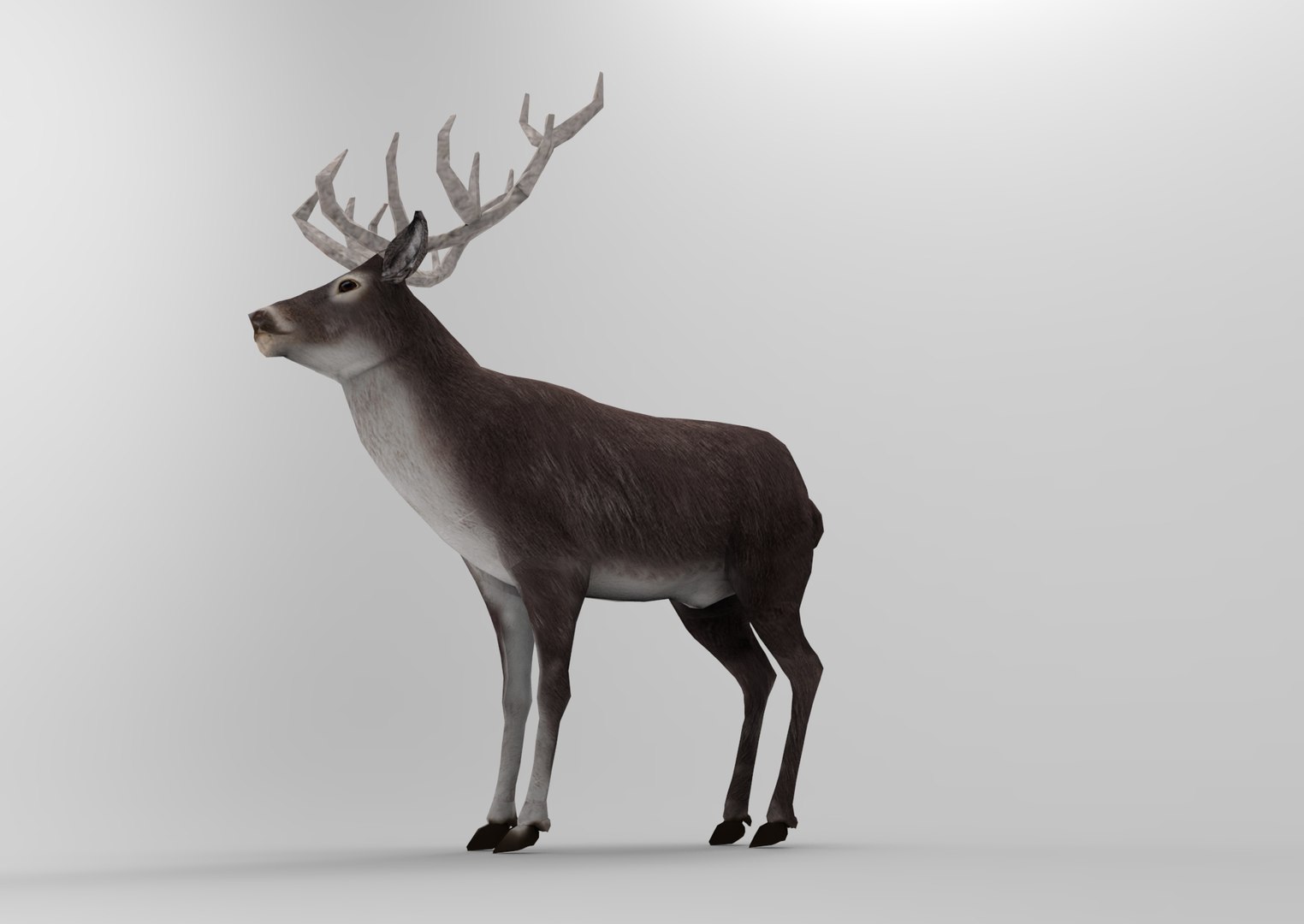 deer : ready obj https://p.turbosquid.com/ts-thumb/ZI/paWcfp/n2cGiWqY/untitled.724/jpg/1476415318/1920x1080/fit_q87/bbb2c431c6fcbc60b3b7e22f2e46c054ff94c990/untitled.724.jpg