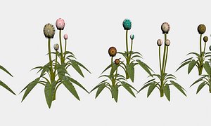 cartoon fantasy flower