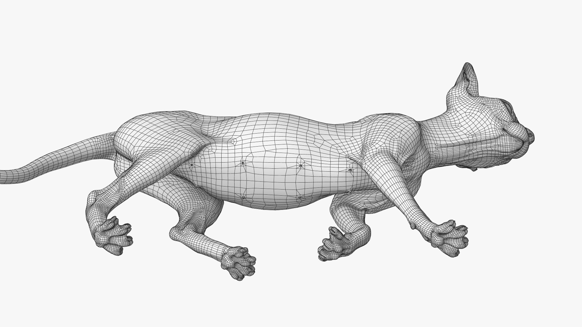 sphynx cat walking pose model https://p.turbosquid.com/ts-thumb/ZJ/8Yzvr3/8F/sphynx_pose2_wireframe_04/jpg/1608100350/1920x1080/fit_q87/e0bce91692c1014d8e109c376adaabe97587de10/sphynx_pose2_wireframe_04.jpg