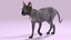 Sphynx Cat Walking Pose 4