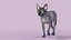Sphynx Cat Walking Pose 4