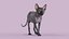 Sphynx Cat Walking Pose 4