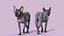 Sphynx Cat Walking Pose 4