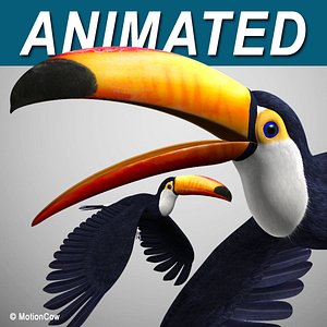 Toucan A - Flight