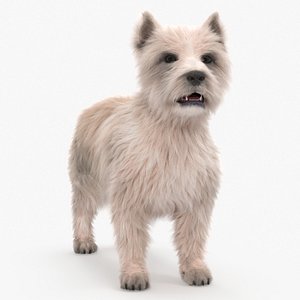 3D Mongrel Dog Cream Standing Pose Fur