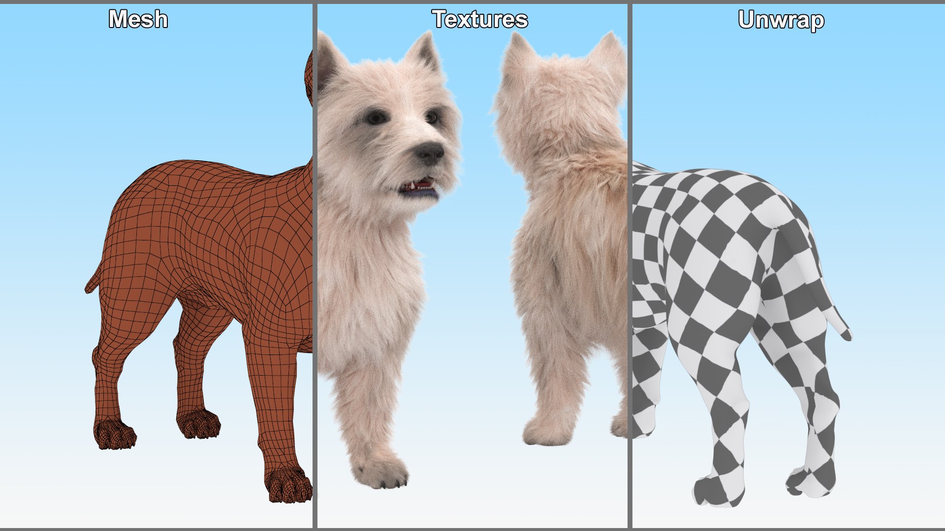 3D Mongrel Dog Cream Standing Pose Fur - TurboSquid 2413783