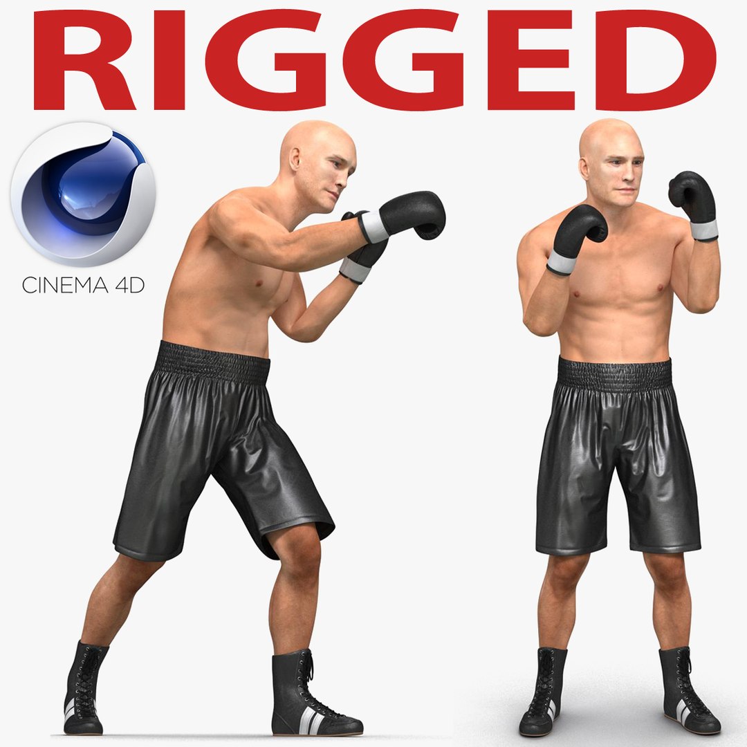 Adult Boxer Man 2 Rigged for Cinema 4D 3D model preview