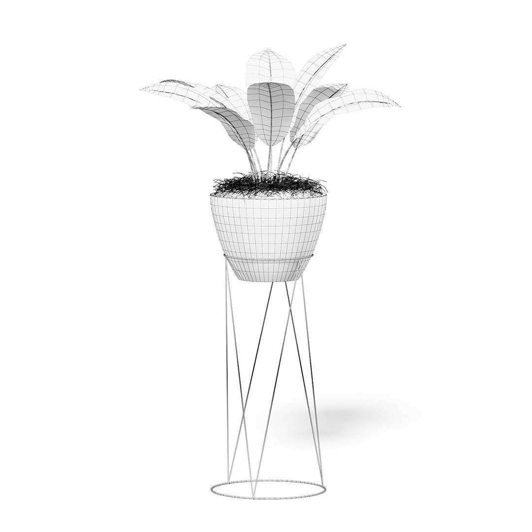 Plant Tall Rack 3D Model - TurboSquid 1386793