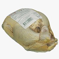 Chicken 07