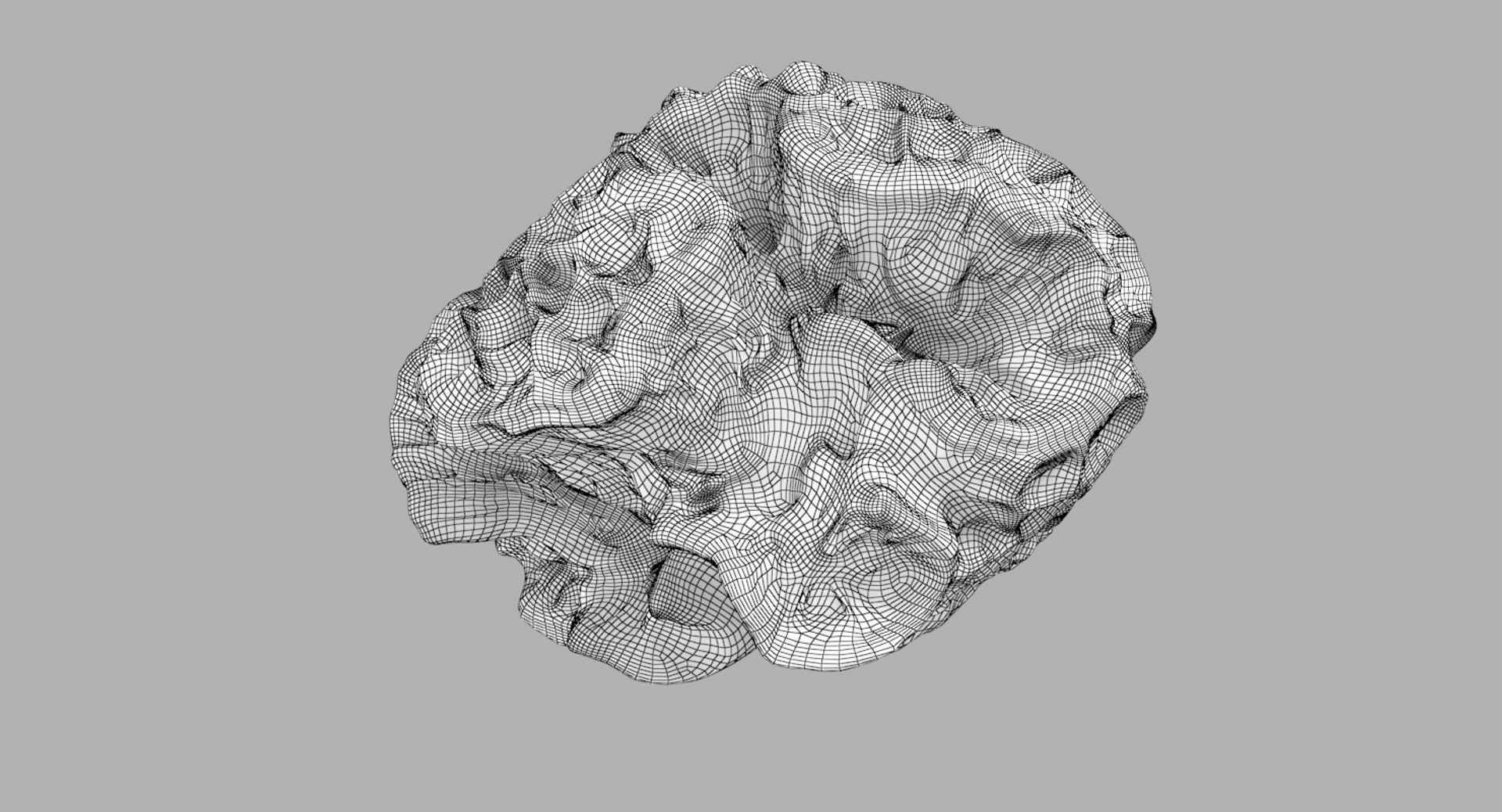 3D Brain Coral - TurboSquid 1279168