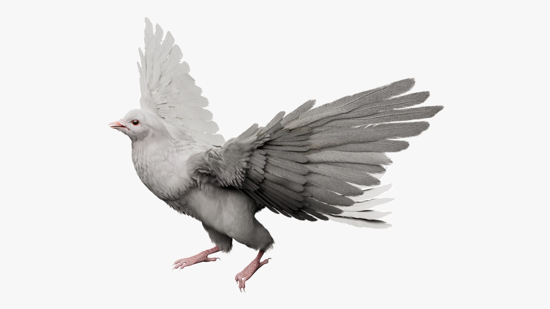 Bird Fur Collection 3D 3D https://p.turbosquid.com/ts-thumb/ZJ/sm6MwV/2R/whitedove_01/jpg/1760612886/1920x1080/fit_q87/2f252b812030da505cb17aa427125401d64cd146/whitedove_01.jpg
