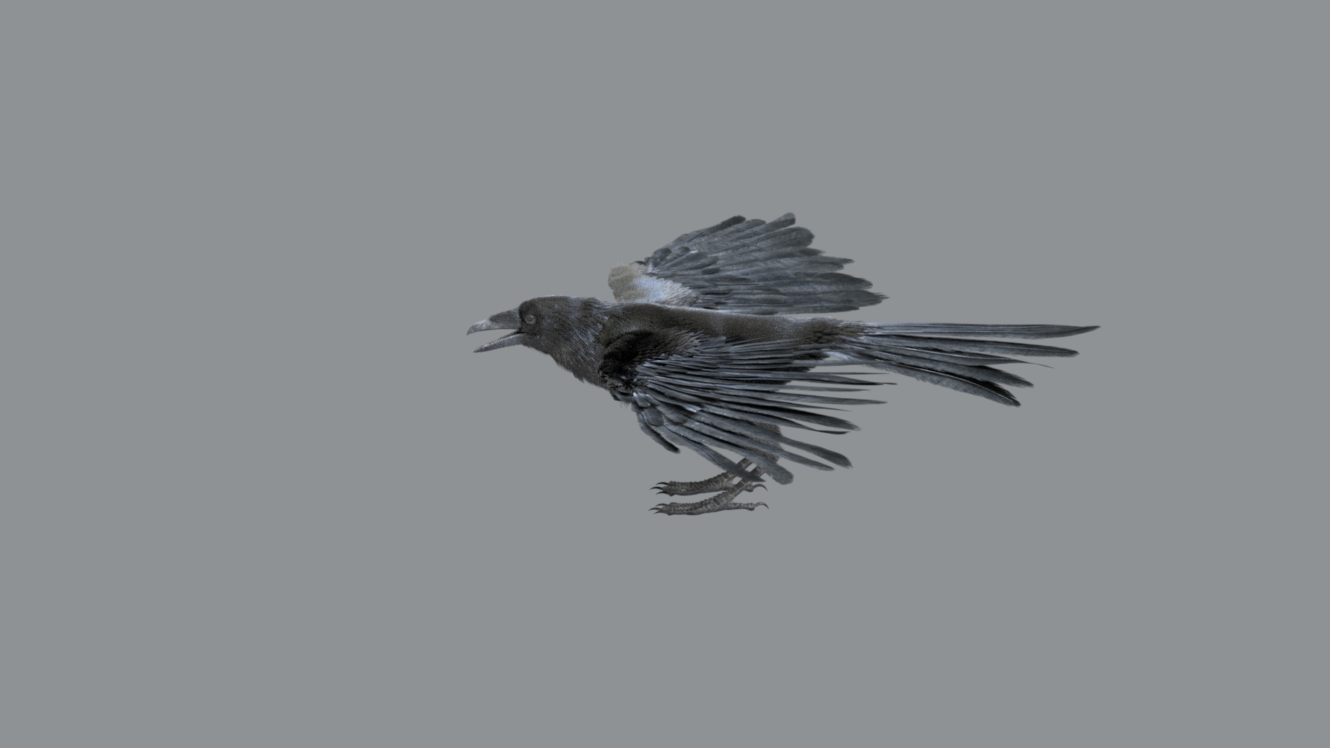 Bird Fur Collection 3D 3D https://p.turbosquid.com/ts-thumb/ZJ/sm6MwV/5p/crow/jpg/1760611924/1920x1080/turn_fit_q99/46397d12010c90d11ed916027c8594ce5987cd1b/crow-1.jpg