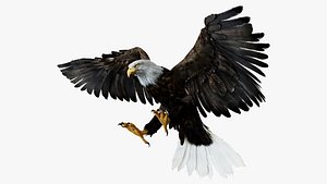 Bird Fur Collection 3D