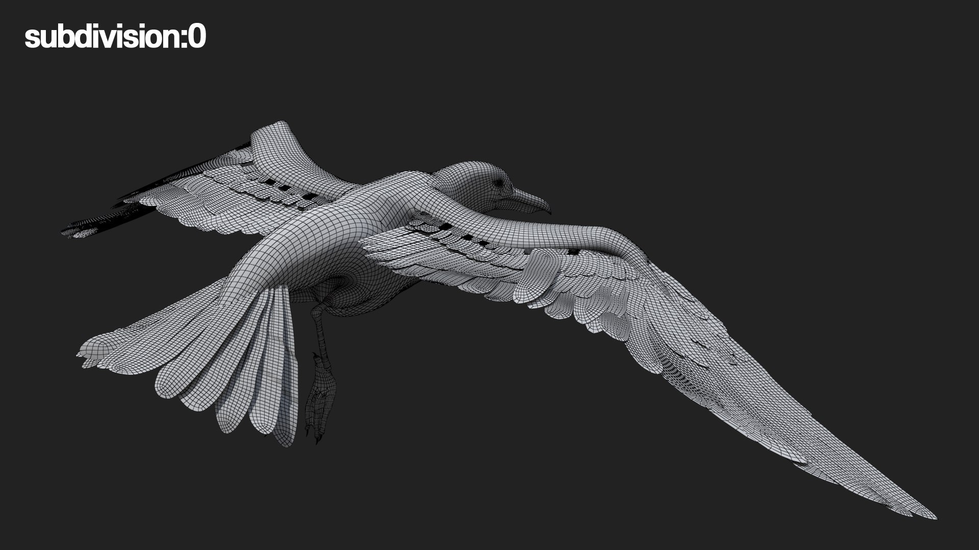 Bird Fur Collection 3D 3D https://p.turbosquid.com/ts-thumb/ZJ/sm6MwV/A1/seagull_12/jpg/1760612770/1920x1080/fit_q87/0113a2279ce602be84e77686115e7fcfdb5a19d2/seagull_12.jpg