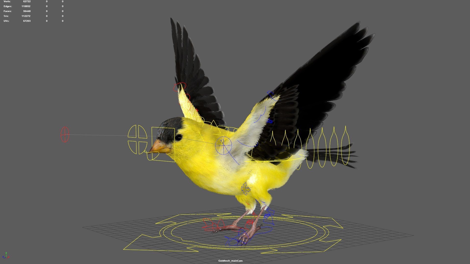 Bird Fur Collection 3D 3D https://p.turbosquid.com/ts-thumb/ZJ/sm6MwV/FR/goldfinch_08/jpg/1760612097/1920x1080/fit_q87/c9931d75eacaceceba6eb9fc720dba7d3e0f1dc0/goldfinch_08.jpg