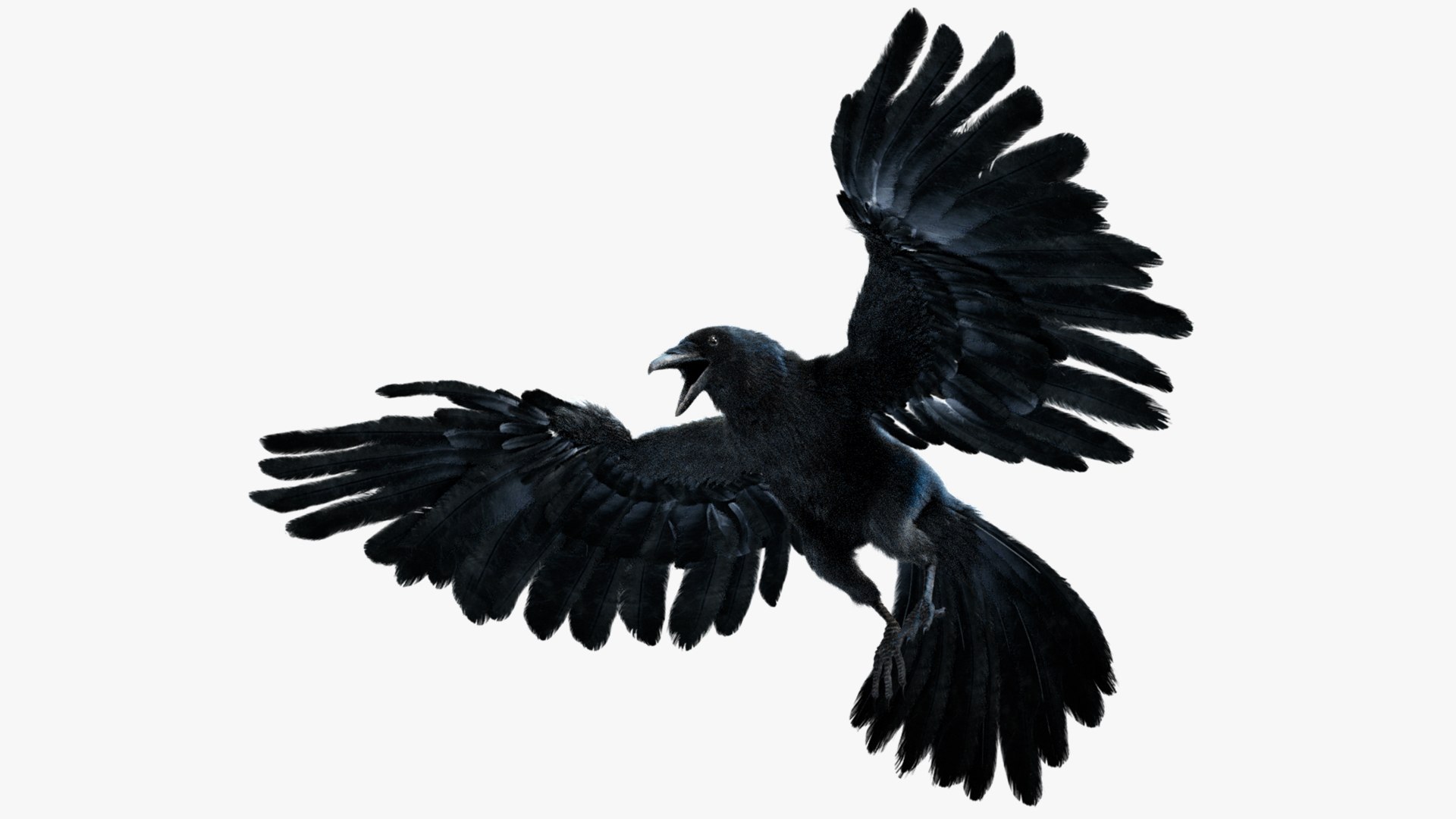 Bird Fur Collection 3D 3D https://p.turbosquid.com/ts-thumb/ZJ/sm6MwV/HX/crow_01/jpg/1760611918/1920x1080/fit_q87/de9a6ad4bdc2ca6e7288d0e4cc106dc927a2d690/crow_01.jpg
