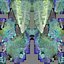 鸟毛收藏 3D