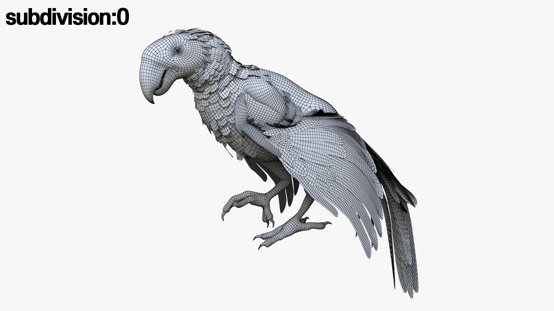 Bird Fur Collection 3D 3D https://p.turbosquid.com/ts-thumb/ZJ/sm6MwV/Uy/scarletmacawparrot_12/jpg/1760612680/1920x1080/fit_q87/029166760d3aeff670ec241adbb3f318b4338090/scarletmacawparrot_12.jpg