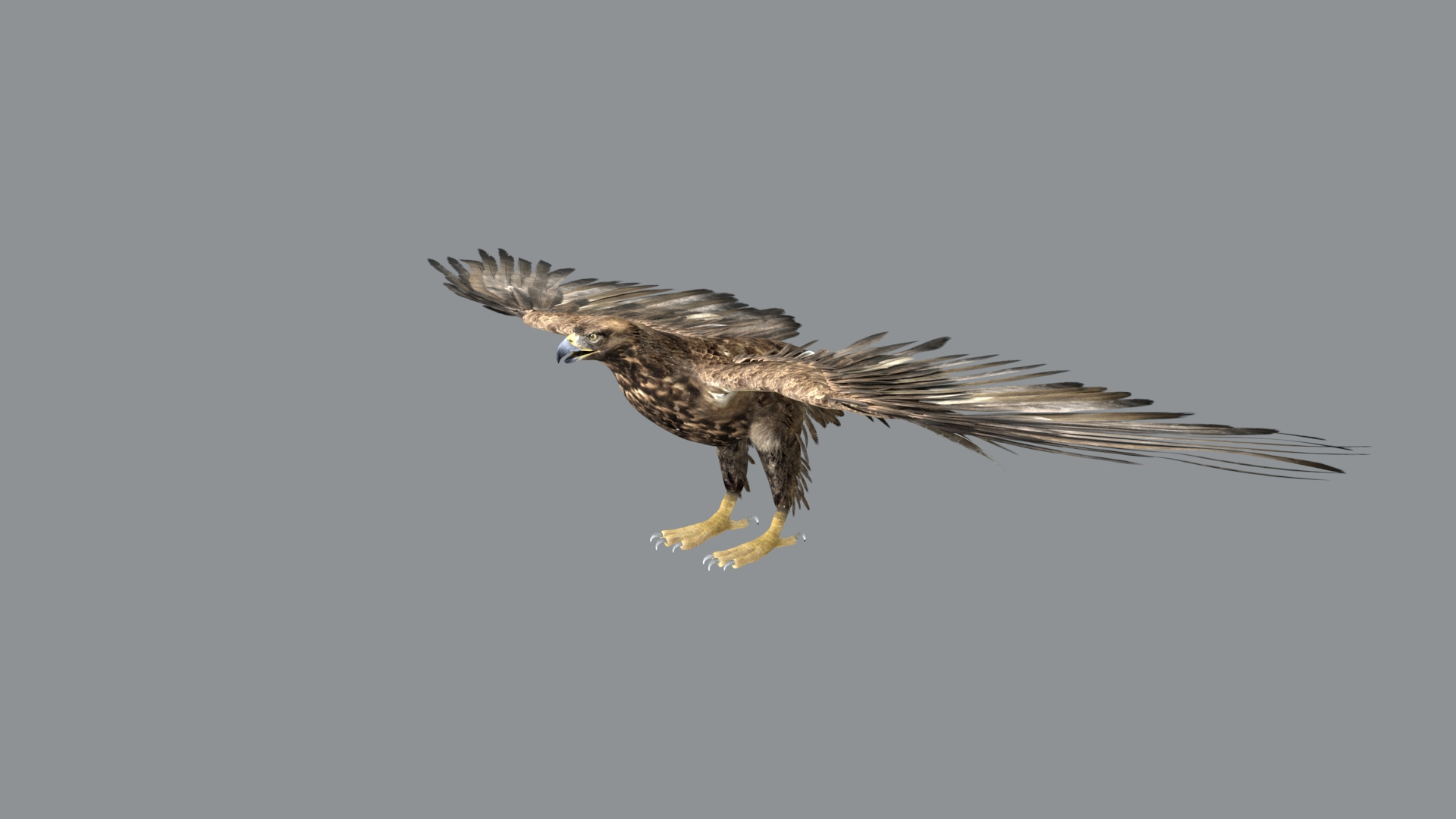 Bird Fur Collection 3D 3D https://p.turbosquid.com/ts-thumb/ZJ/sm6MwV/VG/goldeneagle/jpg/1760612022/1920x1080/turn_fit_q99/862653466c9daf3d3f258a1a65ea8721ba2845c6/goldeneagle-1.jpg