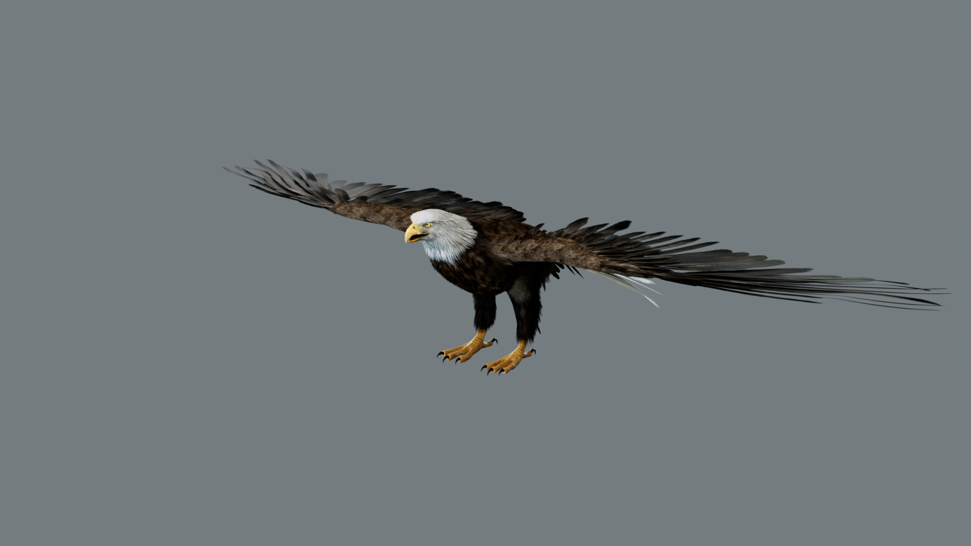 Bird Fur Collection 3D 3D https://p.turbosquid.com/ts-thumb/ZJ/sm6MwV/Vd/americaneagle/jpg/1760611630/1920x1080/turn_fit_q99/b1cb415a51b178811f5e767ef5715cf40f156ce0/americaneagle-1.jpg