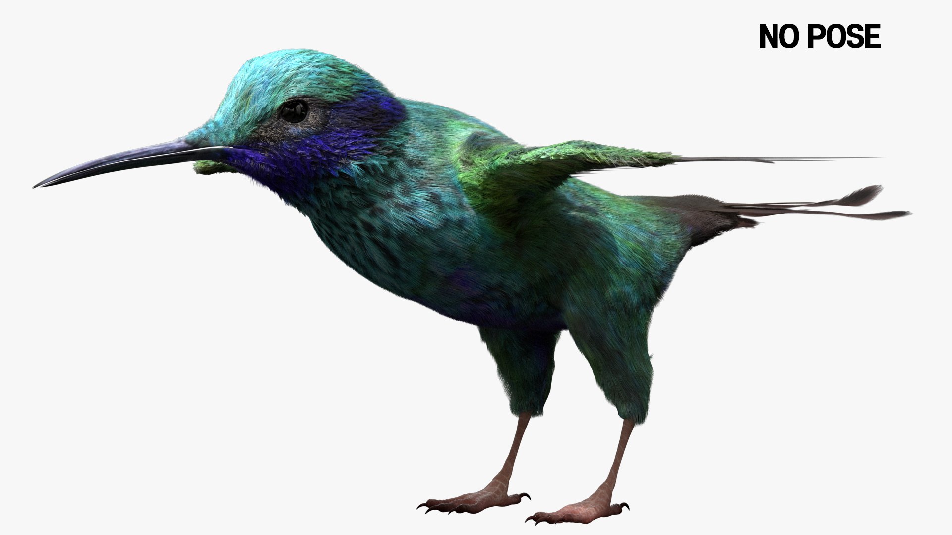 Bird Fur Collection 3D 3D https://p.turbosquid.com/ts-thumb/ZJ/sm6MwV/h2/hummingbird_03/jpg/1760612518/1920x1080/fit_q87/d9cb098861aa9e735107d51236866ecea7c7757a/hummingbird_03.jpg