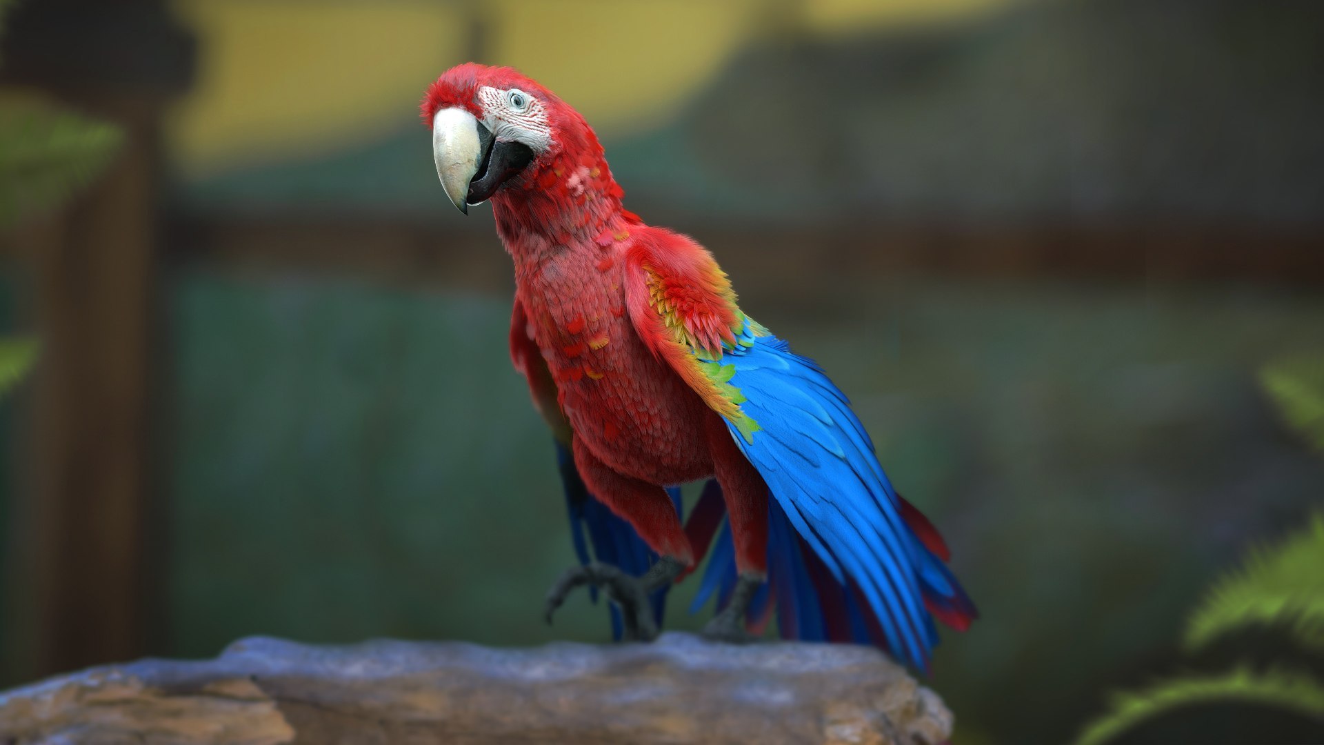 Bird Fur Collection 3D 3D https://p.turbosquid.com/ts-thumb/ZJ/sm6MwV/op/scarletmacawparrot_02/jpg/1760612682/1920x1080/fit_q87/da108f55c0f9c3eae3c4fcdd805d21b675db6331/scarletmacawparrot_02.jpg