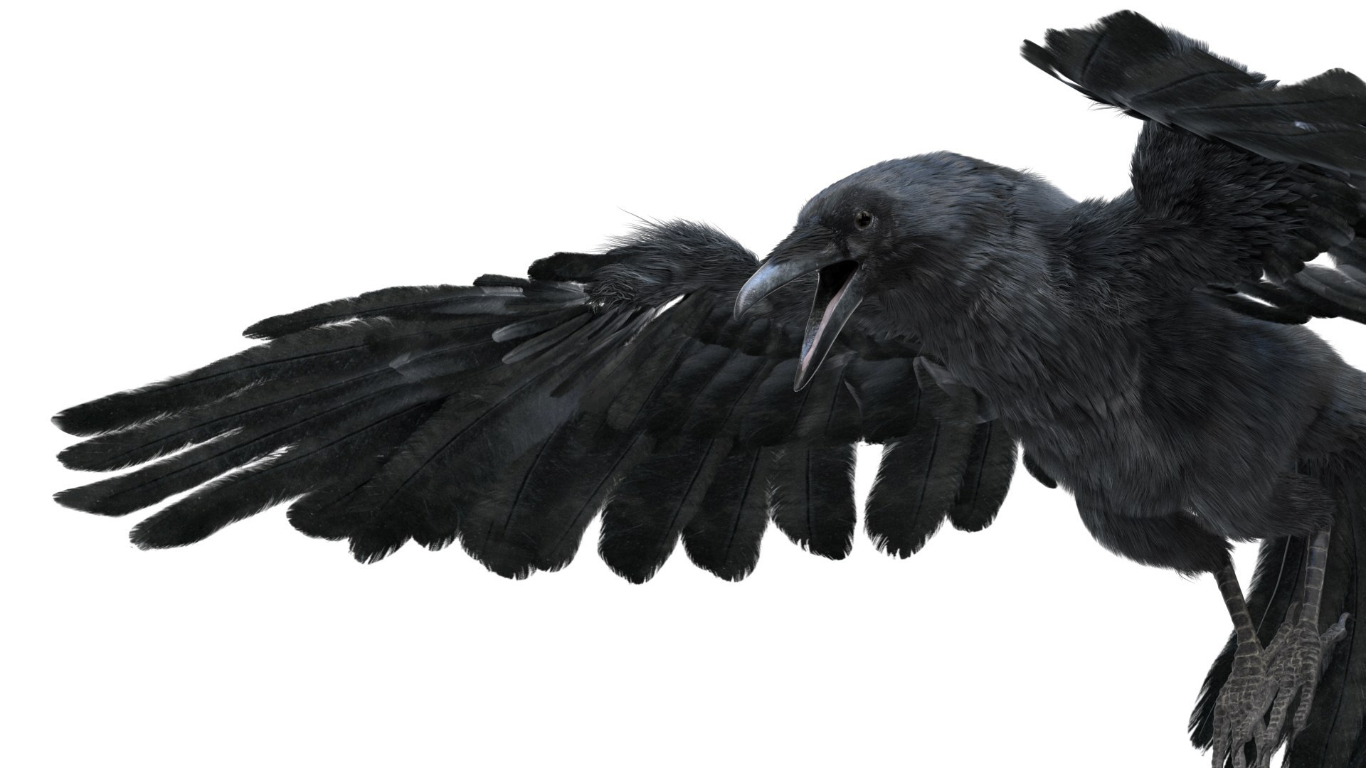 Bird Fur Collection 3D 3D https://p.turbosquid.com/ts-thumb/ZJ/sm6MwV/sj/crow_07/jpg/1760611920/1920x1080/fit_q87/6d1d25793e0a38c6518a92363df8fc417eee0133/crow_07.jpg