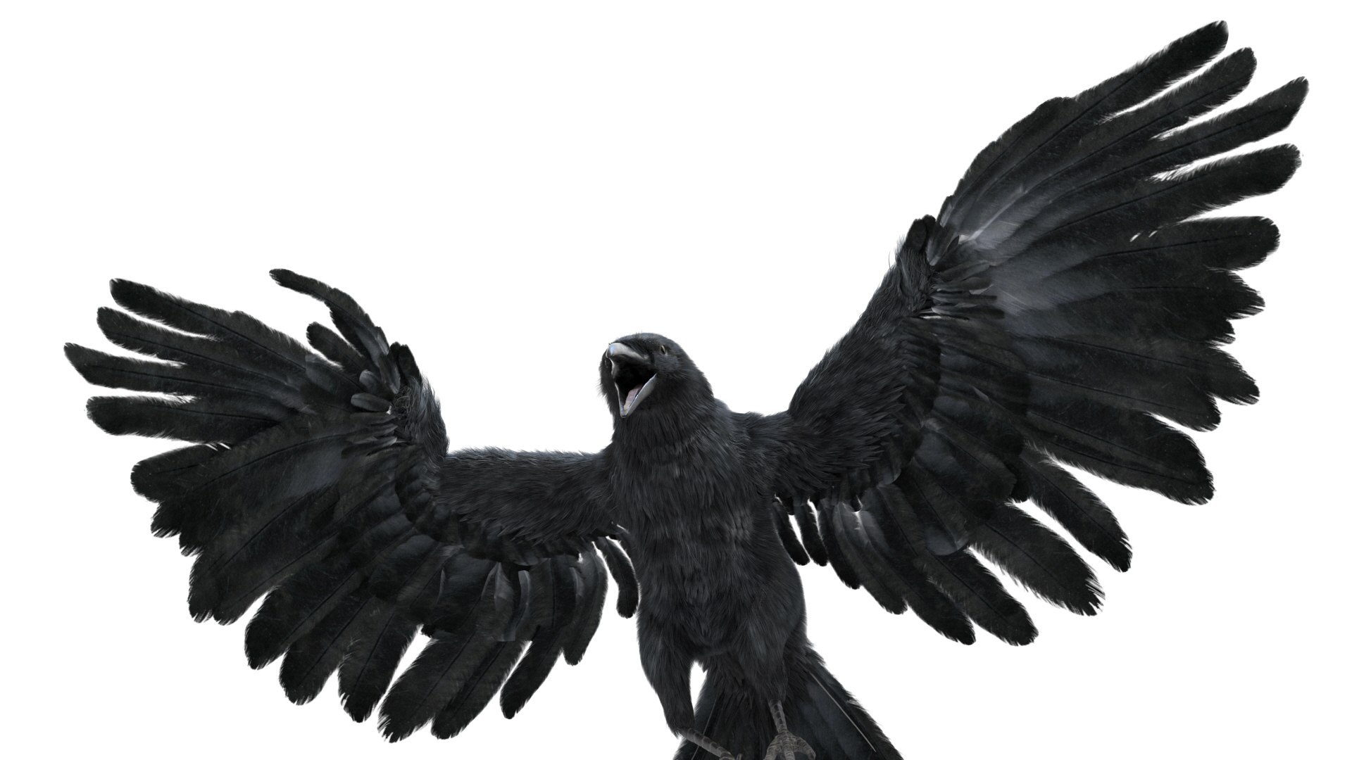 Bird Fur Collection 3D 3D https://p.turbosquid.com/ts-thumb/ZJ/sm6MwV/ys/crow_08/jpg/1760611920/1920x1080/fit_q87/ee5eb62dd31f1529e69d62af0f3bd935647a85f8/crow_08.jpg