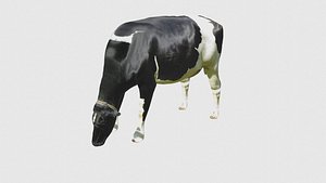 Low Poly Cow Rigged With Realistic Texture 3D