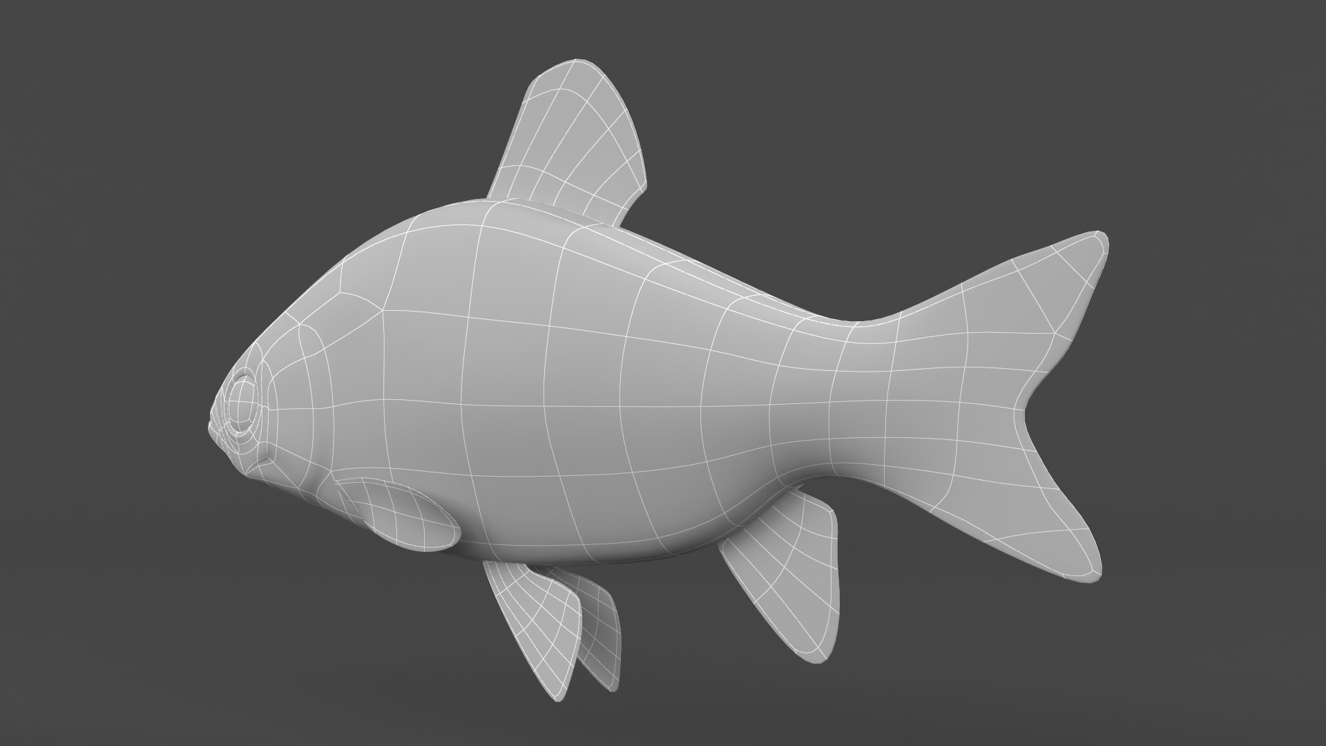 Freshwater Fish Model - TurboSquid 2008212