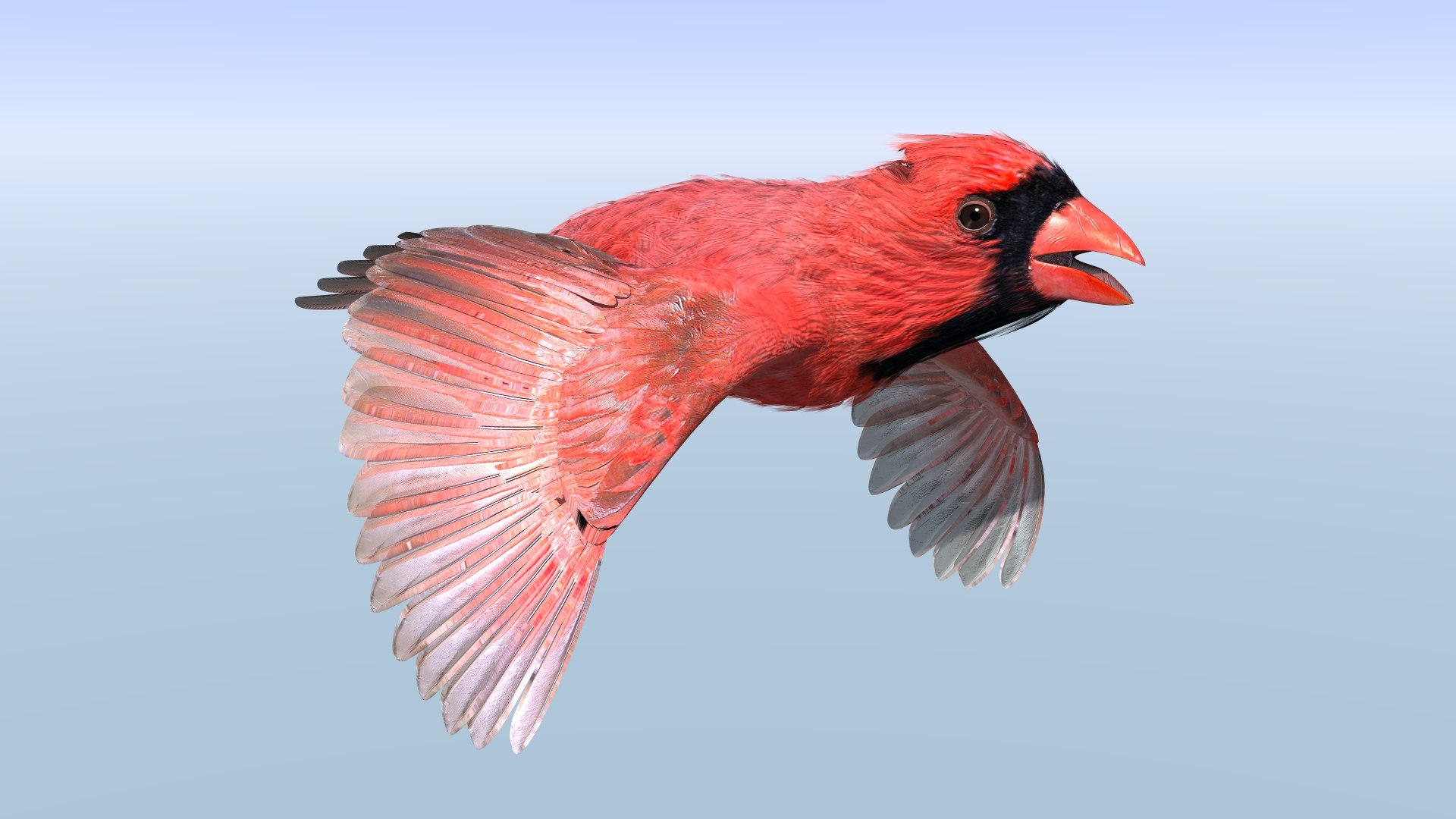 Cardinal Rigged Fly 3D Model - TurboSquid 1633340