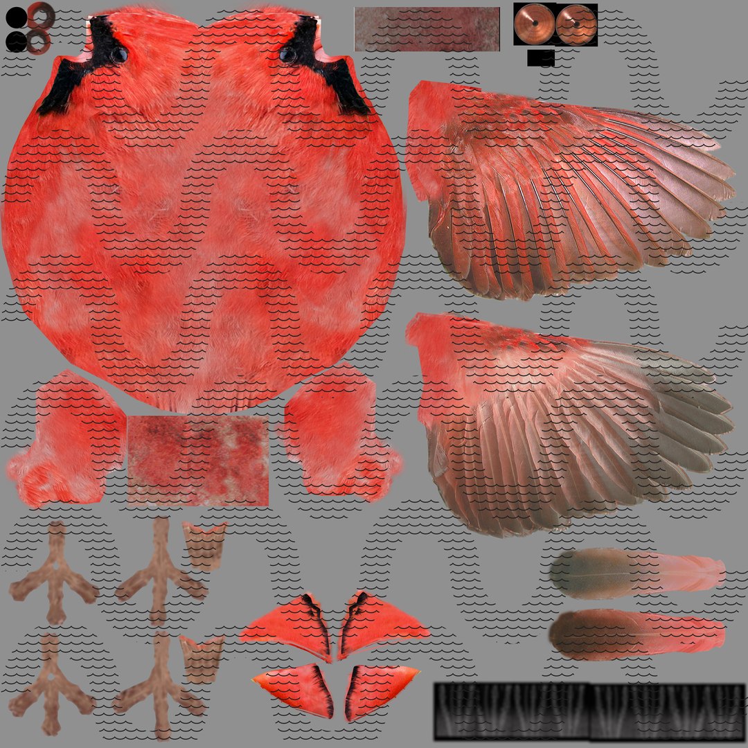 Cardinal Rigged Fly 3D Model - TurboSquid 1633340