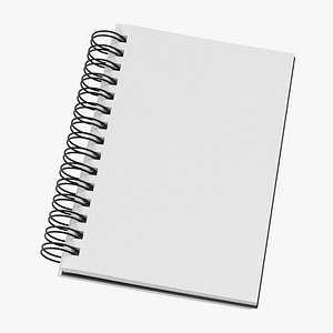 Spiral Sketchbook 03 03