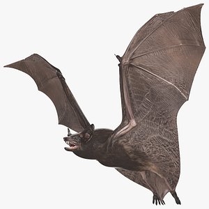 Flying Black Bat model