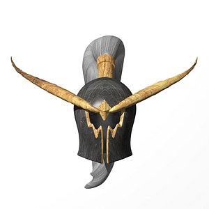 Warden Helmet