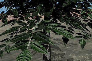 3d model tree