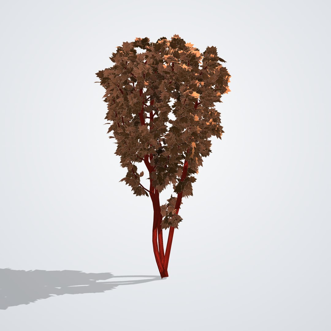 20 Trees Collection - Ornamental, Fruit and Shade Trees model https://p.turbosquid.com/ts-thumb/ZK/PSCrnB/tB/acerpalmatumsangokaku_03_back/png/1792518164/1920x1080/fit_q87/5ad306bad3f776d070bb26c05cd99766b0ca0a89/acerpalmatumsangokaku_03_back.jpg