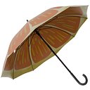 Umbrella 01 m