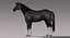 Horse (Black) (Animated) (Fur)