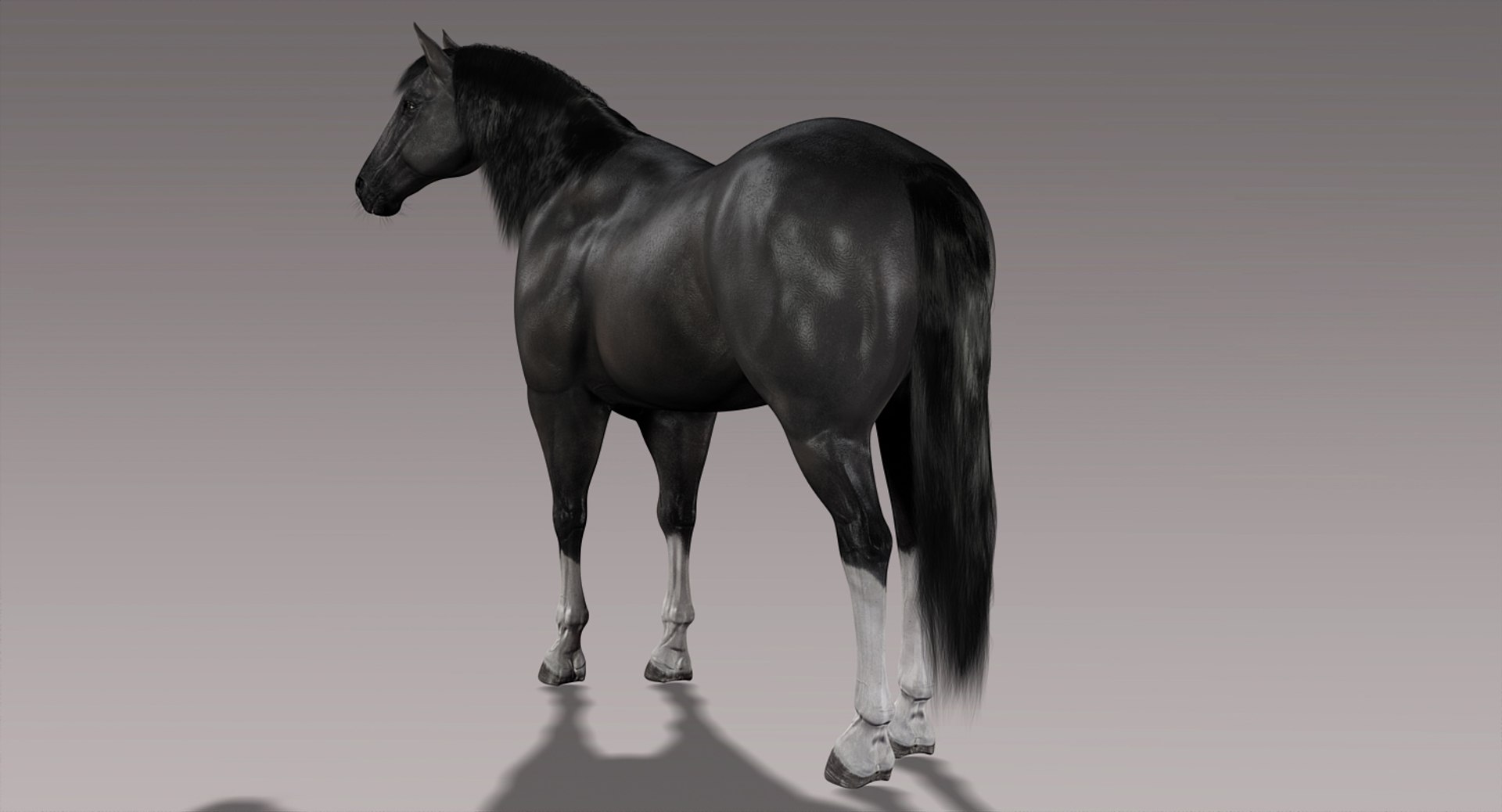 horse black fur animation ma https://p.turbosquid.com/ts-thumb/ZK/eadgTT/5zlaUkn6/b2/jpg/1431243343/1920x1080/fit_q87/0e13f8db138798297a7cd5beeb0ecb559dc981c1/b2.jpg