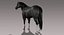 Horse (Black) (Animated) (Fur)