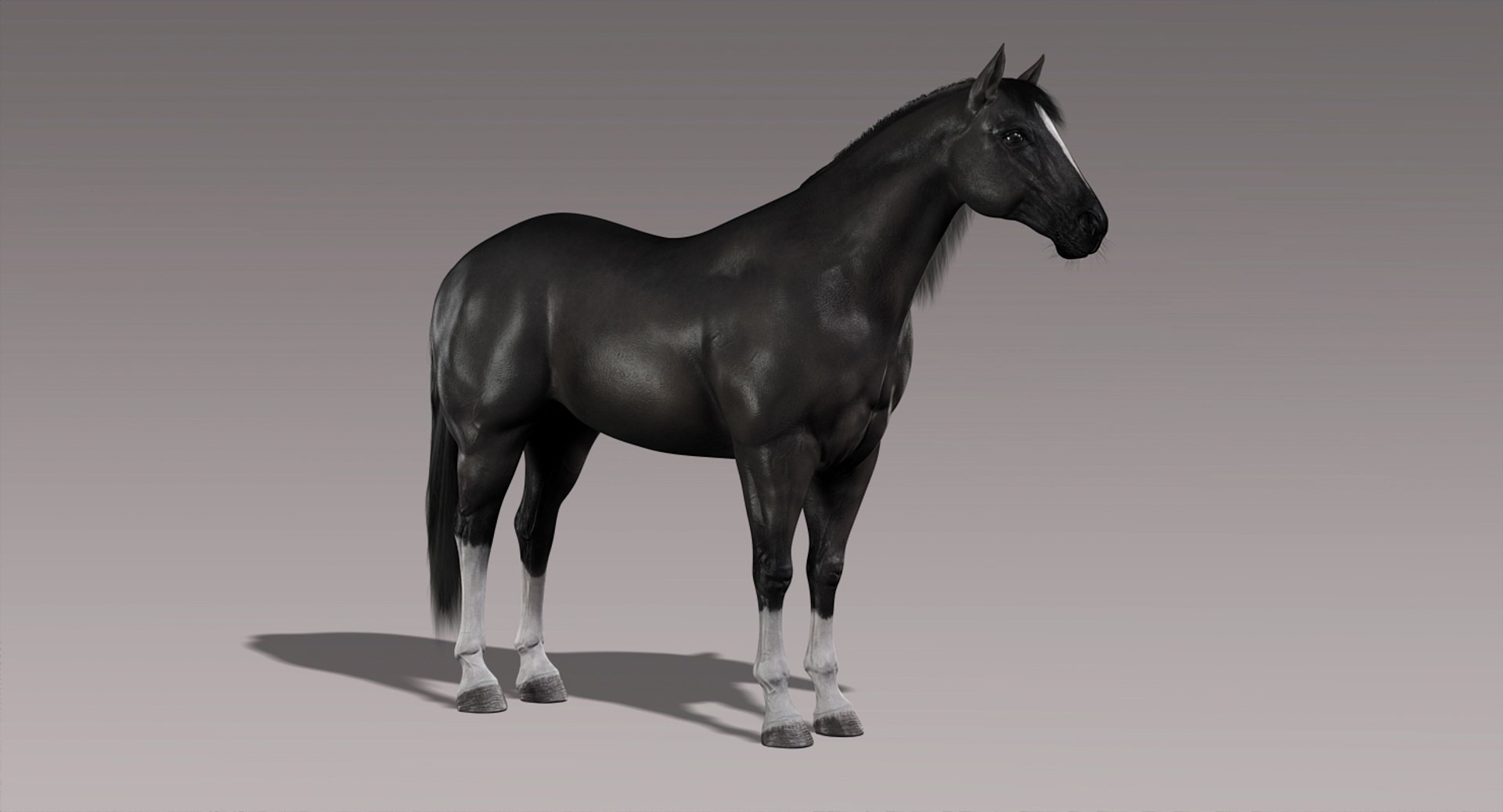 horse black fur animation ma https://p.turbosquid.com/ts-thumb/ZK/eadgTT/HtJEMyeY/b3/jpg/1431243343/1920x1080/fit_q87/d68c3eb7803bd1be0c31f115c0bc6855aa1af10b/b3.jpg